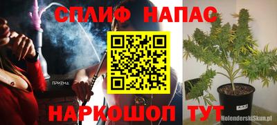 стафф Краснодар